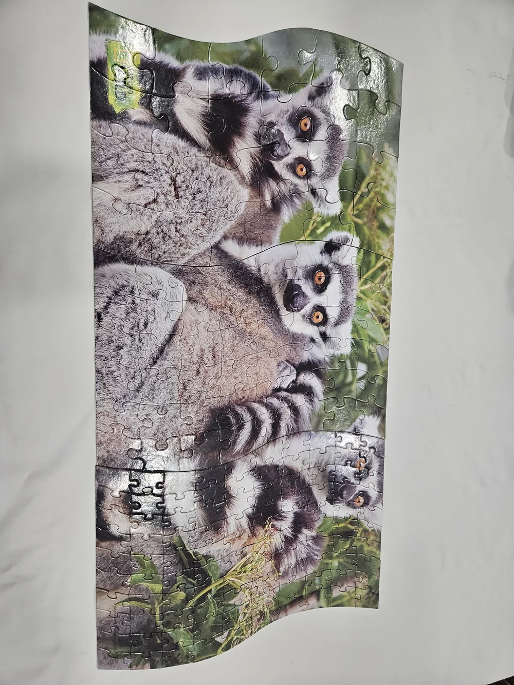 National Geographic Ring-Tailed Lemurs Puzzle Tin - Green, Black, White